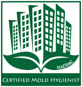 Venture Construction Group of Florida Gains Advanced Certifications in Mold Remediation