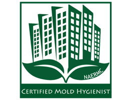 Venture Construction Group of Florida Gains Advanced Certifications in Mold Remediation