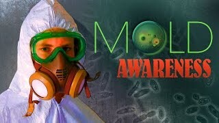 September is Mold Awareness Month!